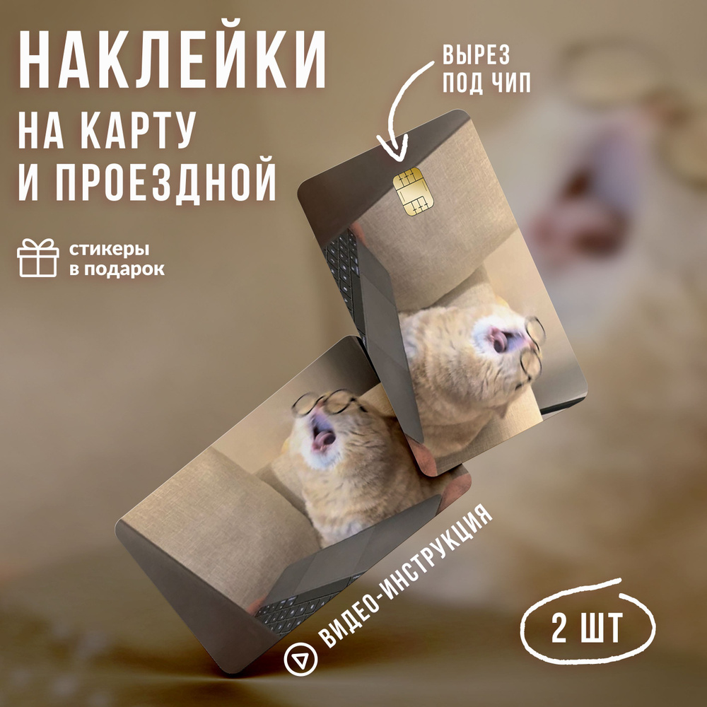Виниловая наклейка на карту банковскую мем Коты v2 // Наклейки с котиками  #1
