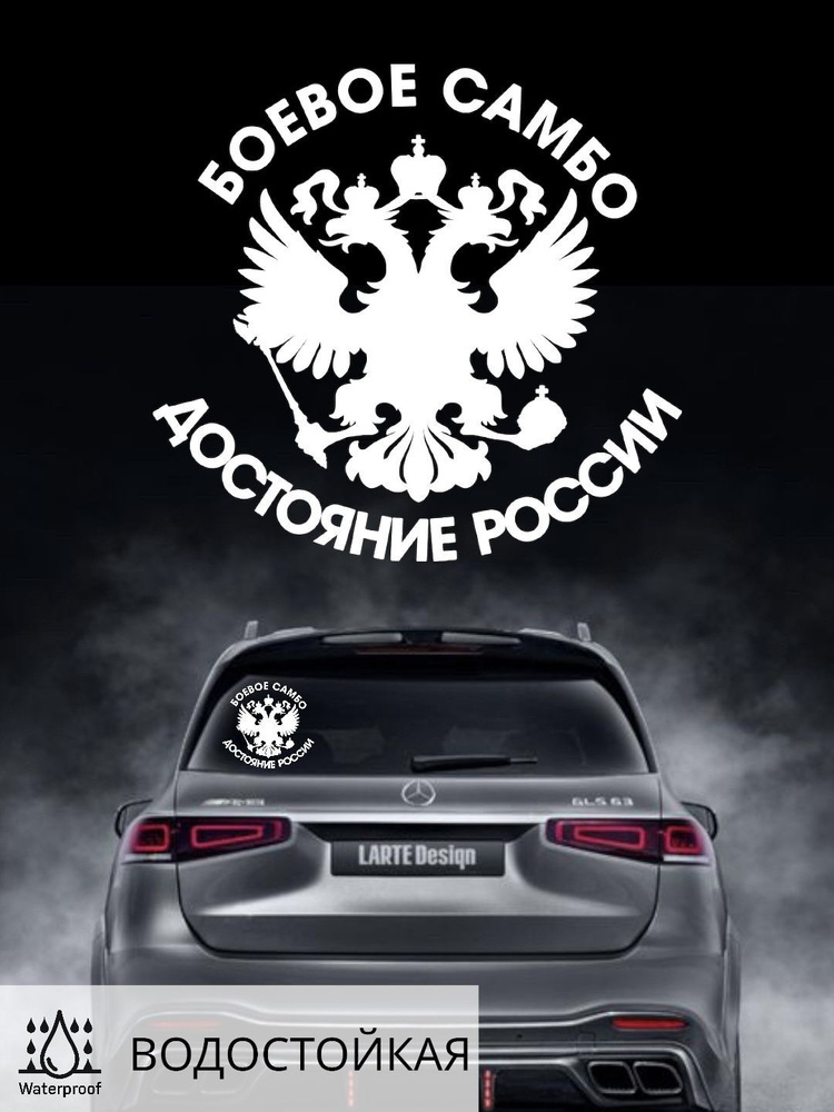 Наклейка на автомобиль БОЕВОЕ САМБО РОССИИ 20Х20 #1