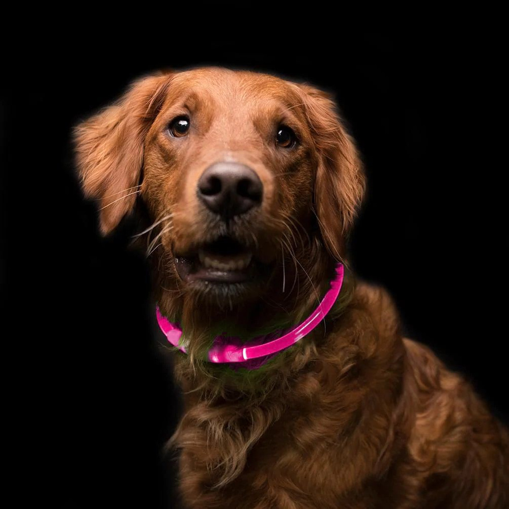Ошейник для собак светящийся светодиодный 70 см розовый  #1