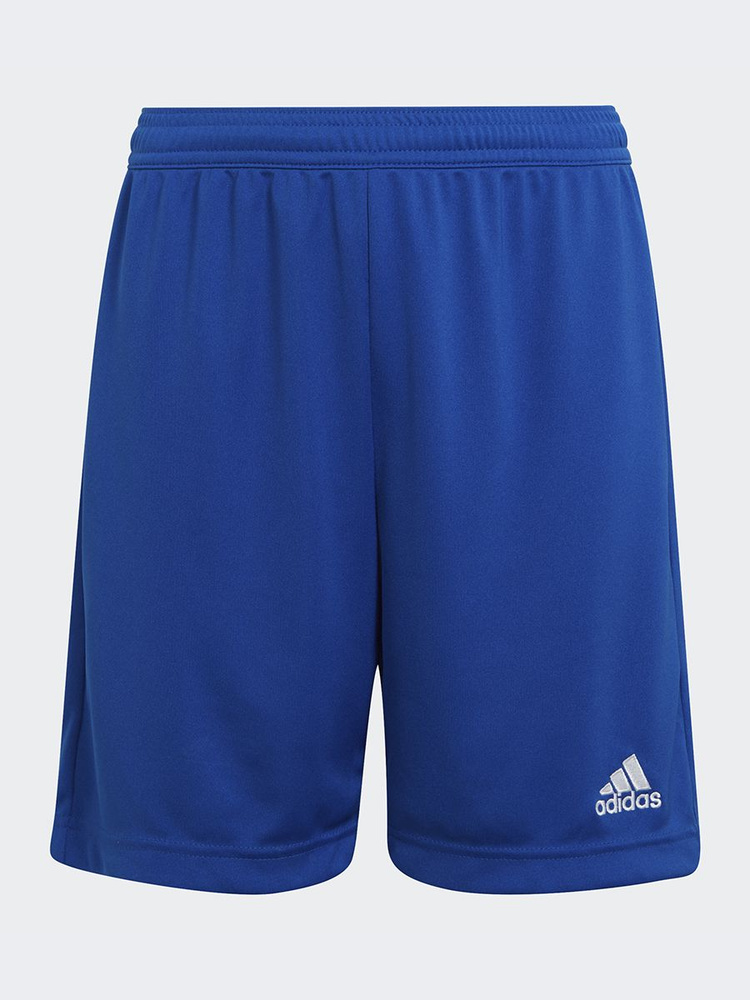 Шорты adidas Ent22 Short Y #1