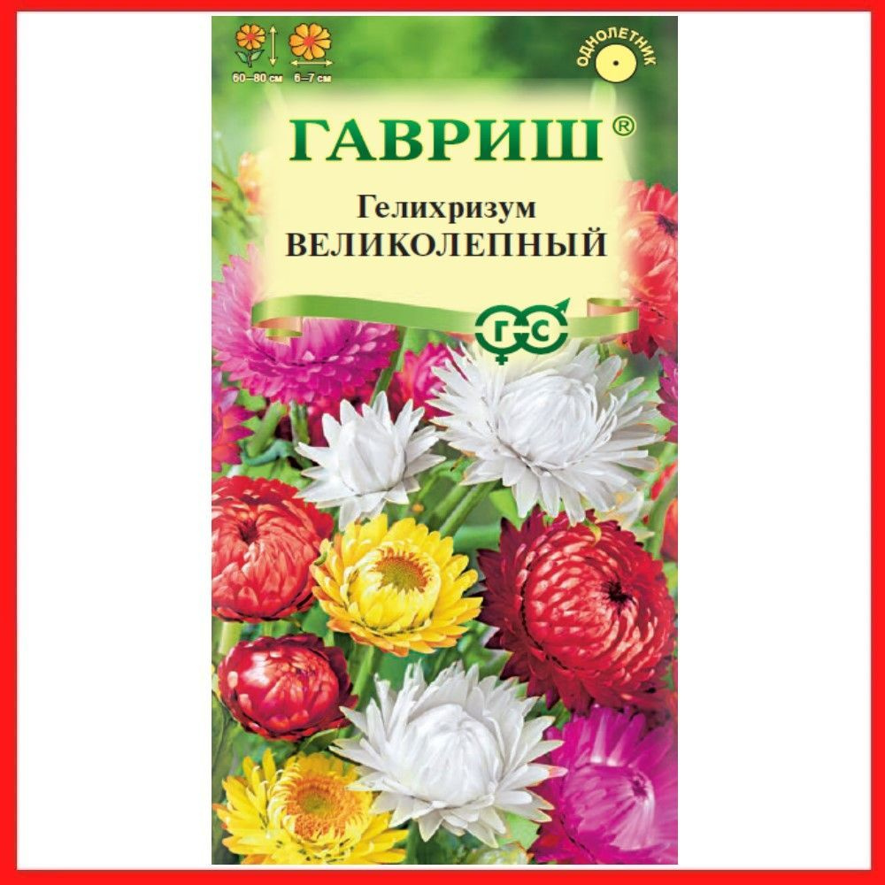 Семена Гелихризум "Великолепный" смесь 0,1 гр, однолетние цветы для дачи, сада и огорода, клумбы, в открытый #1