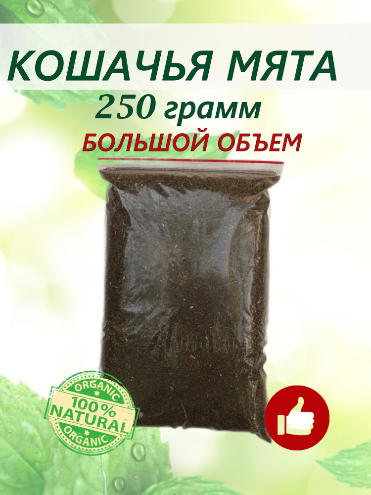 Кошачья мята сушеная для кошек 250 (500, 1000) грамм. Котовник рассыпной в большом объеме. Для когтеточки, #1