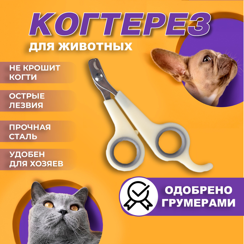 Когтерез. Ножницы для кошек и собак. - купить с доставкой по выгодным ...
