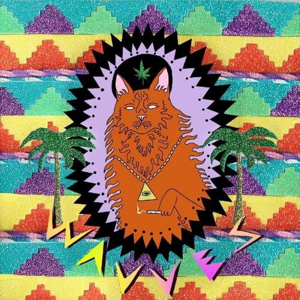 Виниловая пластинка / Wavves - King Of The Beach (Limited Orange Vinyl) / винил  #1