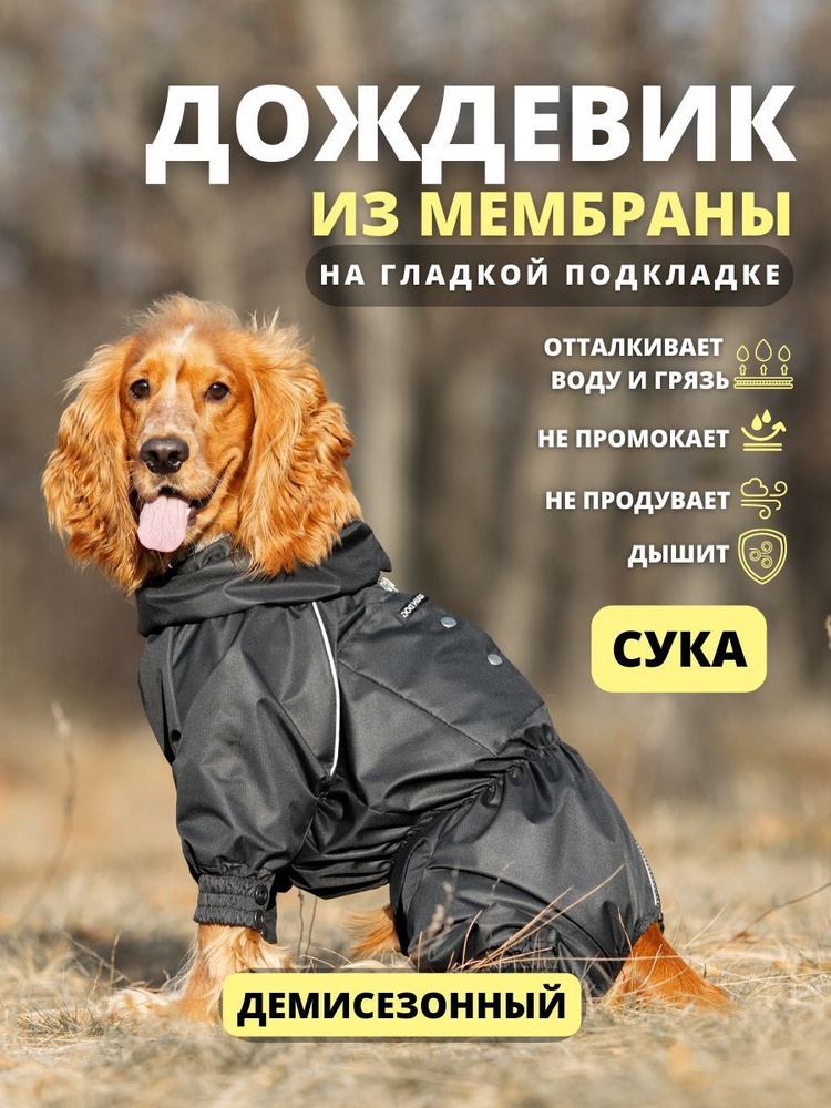 Комбинезон дождевик для собак средних пород STORM, 40ж (сука), черный, XL  #1