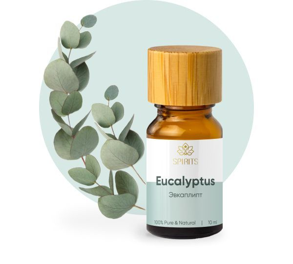 Эфирное масло Эвкалипт 10 мл (Eucalyptus globulus Labill.) натуральное для ароматерапии, массажа, тела, #1
