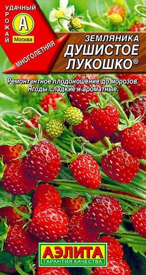 Семена Земляника Душистое лукошко #1