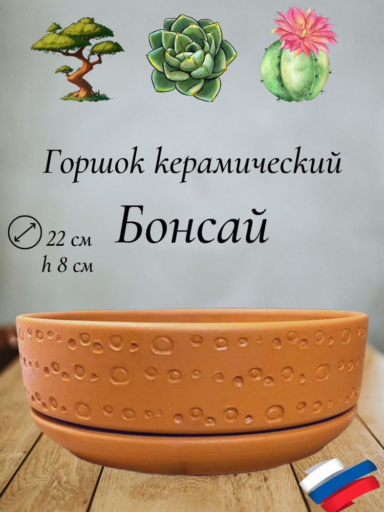 Керамический горшок "Бонсай" для бонсай, кактусов и суккулентов, диаметр 22, высота 8 см, терракот  #1