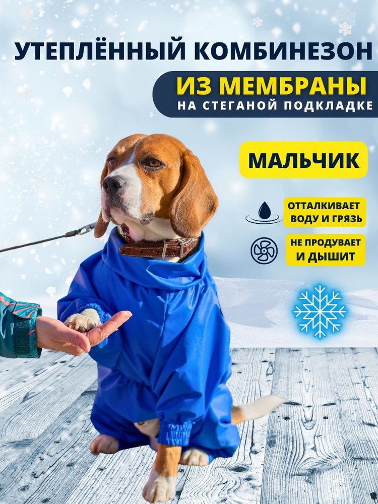 Комбинезон зимний для собак средних пород SNOW plus, 50+м (кобель), синий, 3XL+  #1