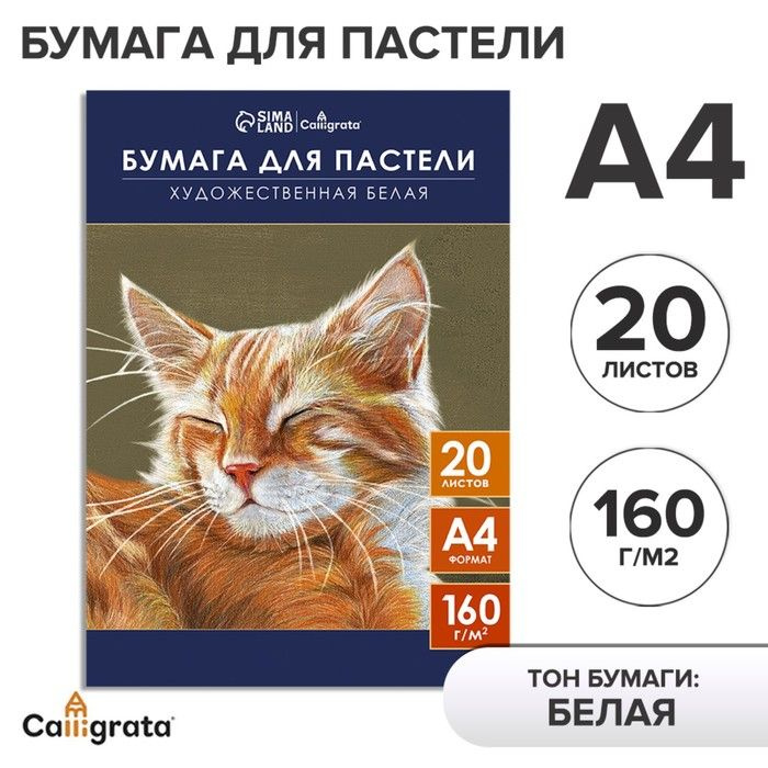 Бумага для пастели А4, 20 листов "Кот", блок 160 г/м2, в папке #1