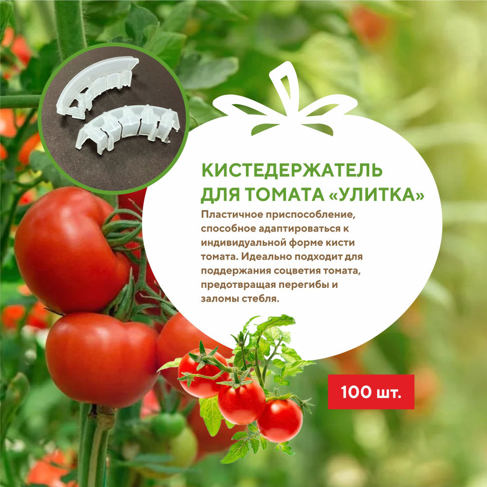 Кистедержатель для томатов "Улитка" - 100 шт Green Terra #1