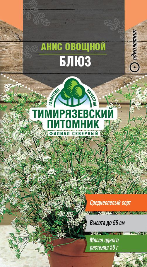 Семена Тимирязевский питомник анис овощной Блюз 0,3г #1