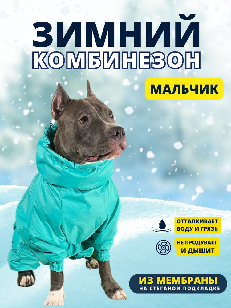 Комбинезон зимний для собак средних пород SNOW plus, 45+м (кобель), зеленый, 2XL+  #1