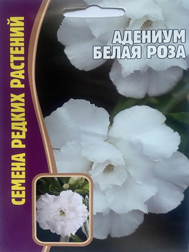 Григорьев Комнатные растения, цвет Белая роза, 30 см, 3 шт  #1
