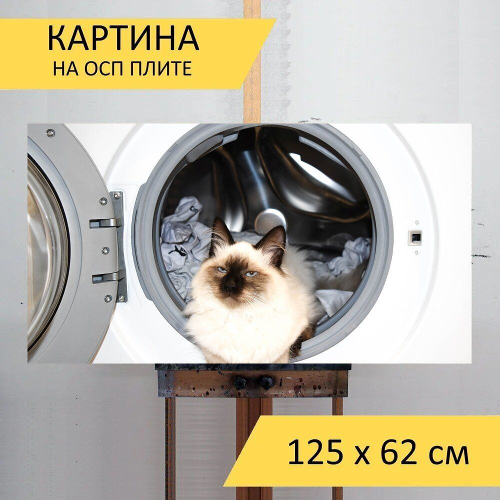 LotsPrints Картина "Стиральная машина, мойка, кошка 49", 125 х 62 см  #1