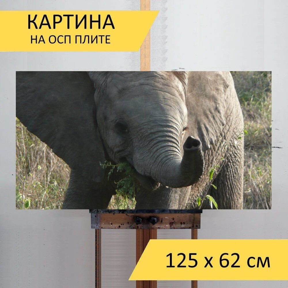 LotsPrints Картина "Слон, телец, детка 76", 125  х 62 см #1