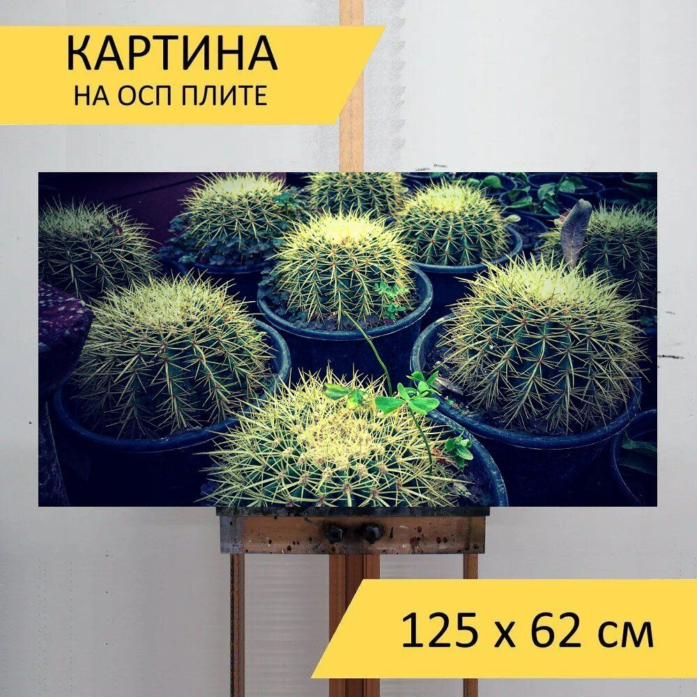 LotsPrints Картина "Кактус, завод, сад 96", 125  х 62 см #1