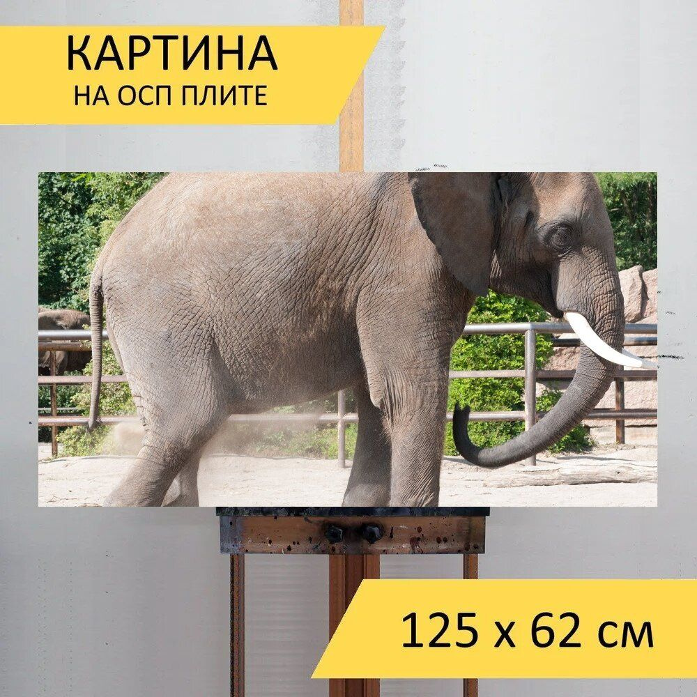 LotsPrints Картина "Слон, зоопарк, летом 60", 125  х 62 см #1