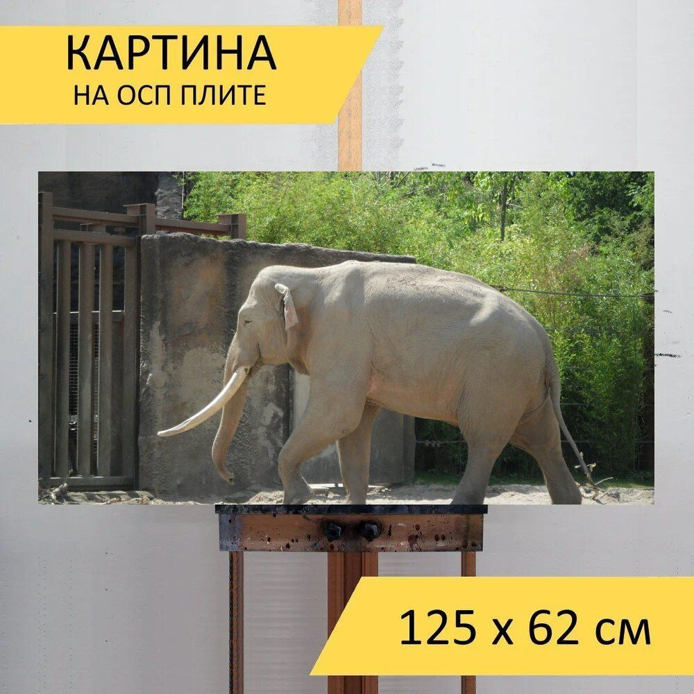 LotsPrints Картина "Слон, животное, дикая природа 63", 125 х 62 см  #1