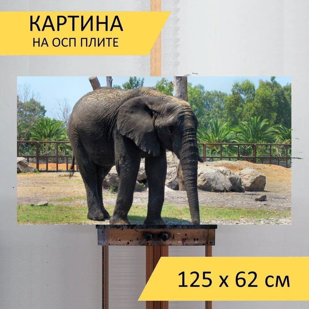 LotsPrints Картина "Слон, зоопарк, толстокожий 71", 125  х 62 см #1