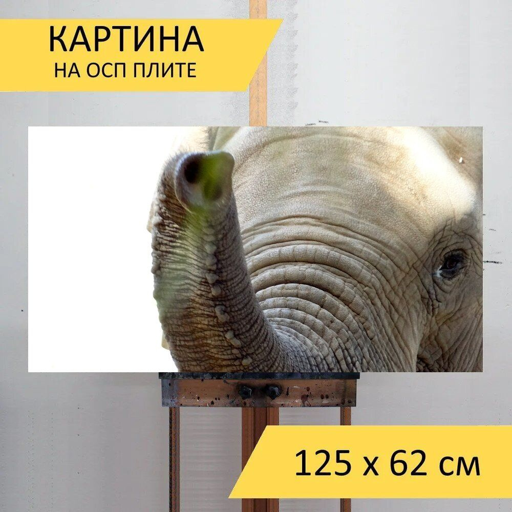 LotsPrints Картина "Слон, ствол, зоопарк 12", 125  х 62 см #1