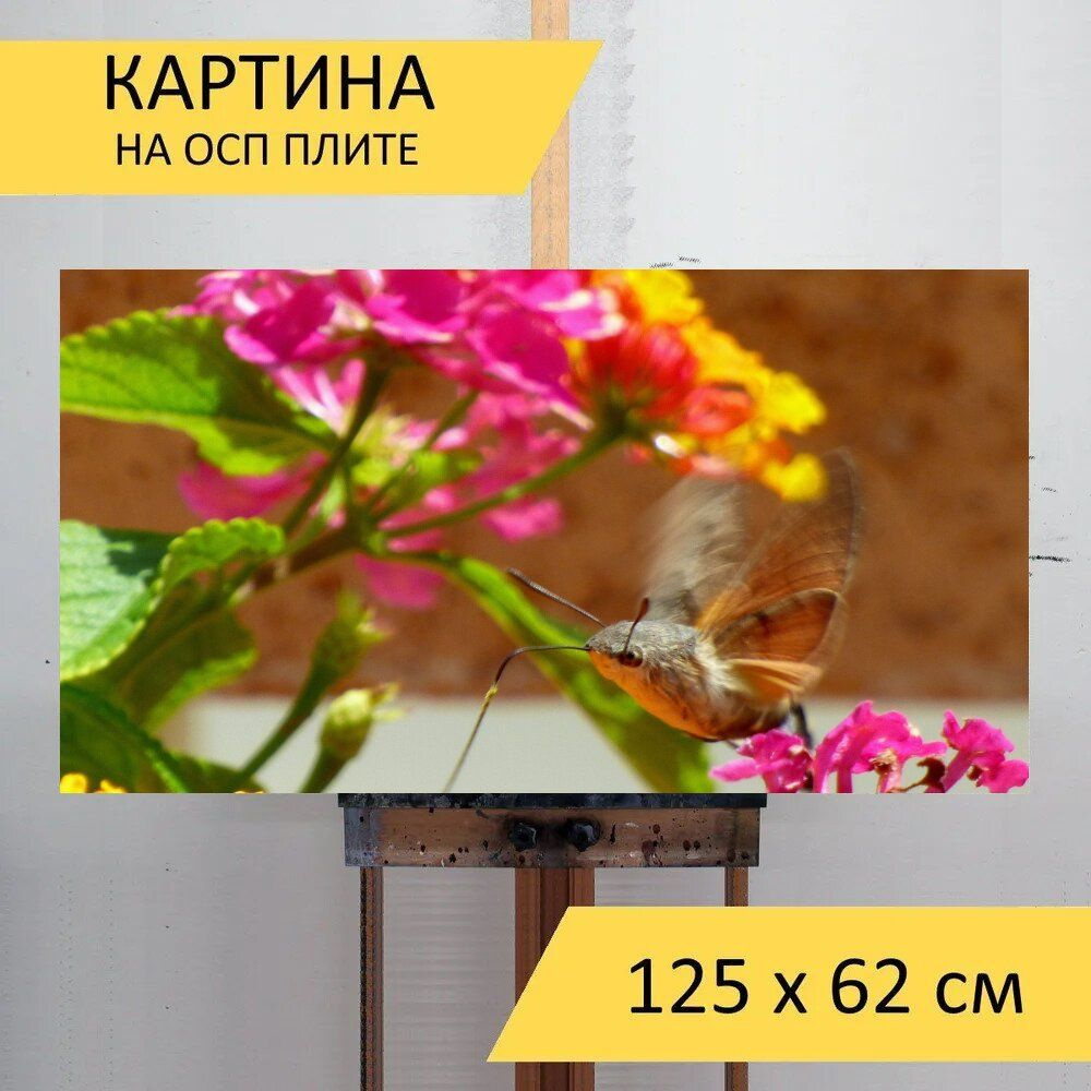 LotsPrints Картина "Сфинкс, цветок, бабочка 77", 125  х 62 см #1