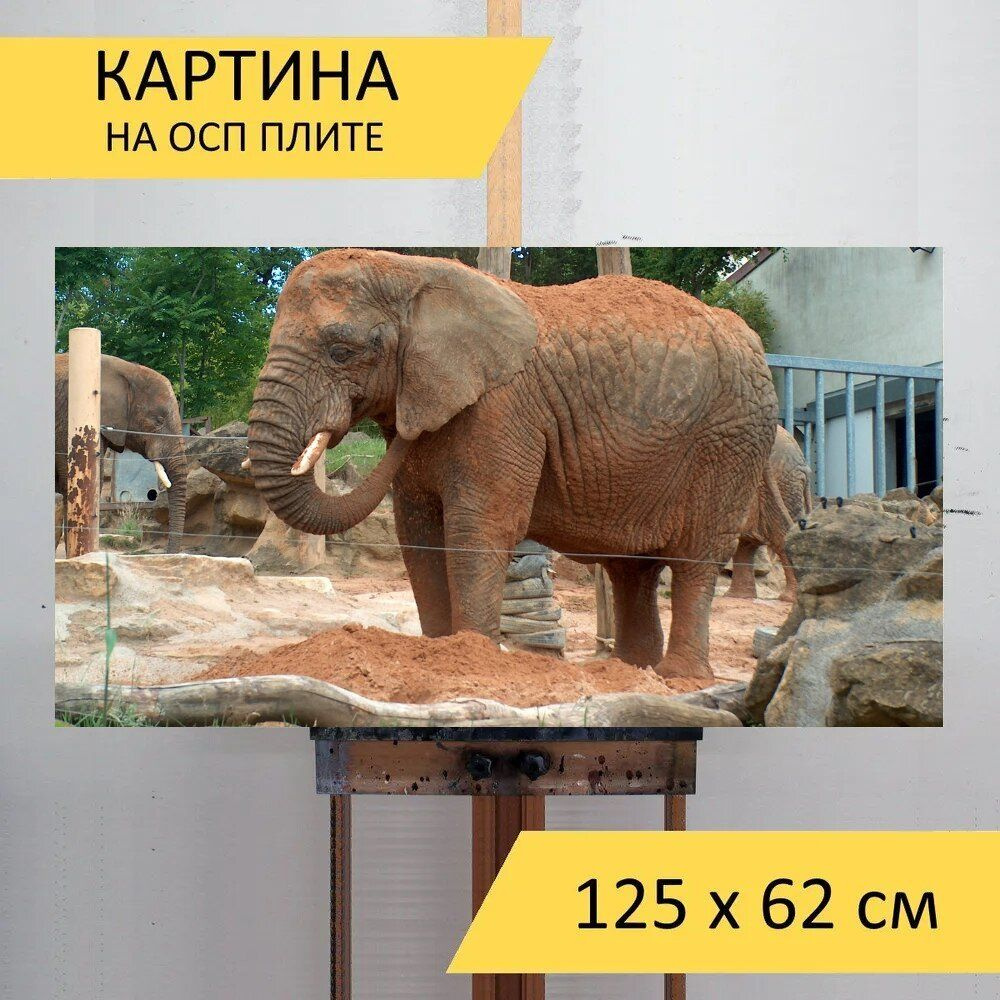 LotsPrints Картина "Слон, животное, зоопарк 75", 125  х 62 см #1