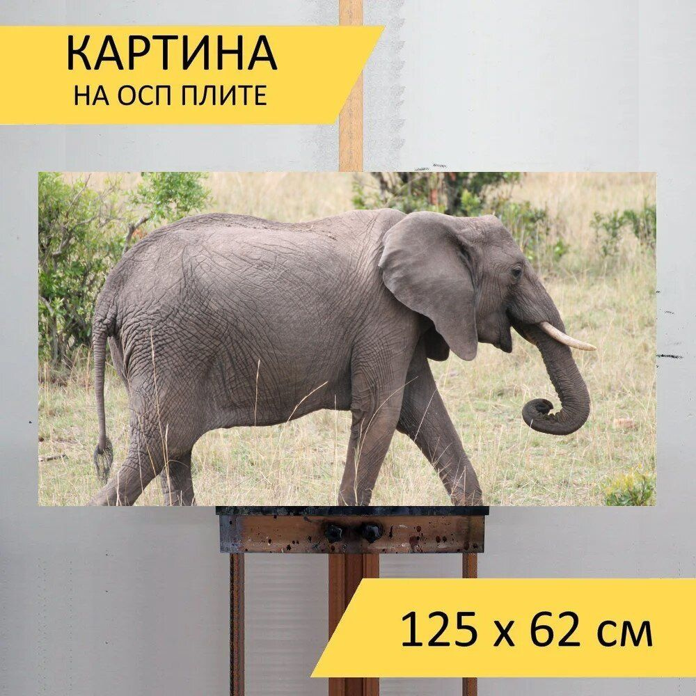 LotsPrints Картина "Слон, лист, африка 74", 125  х 62 см #1