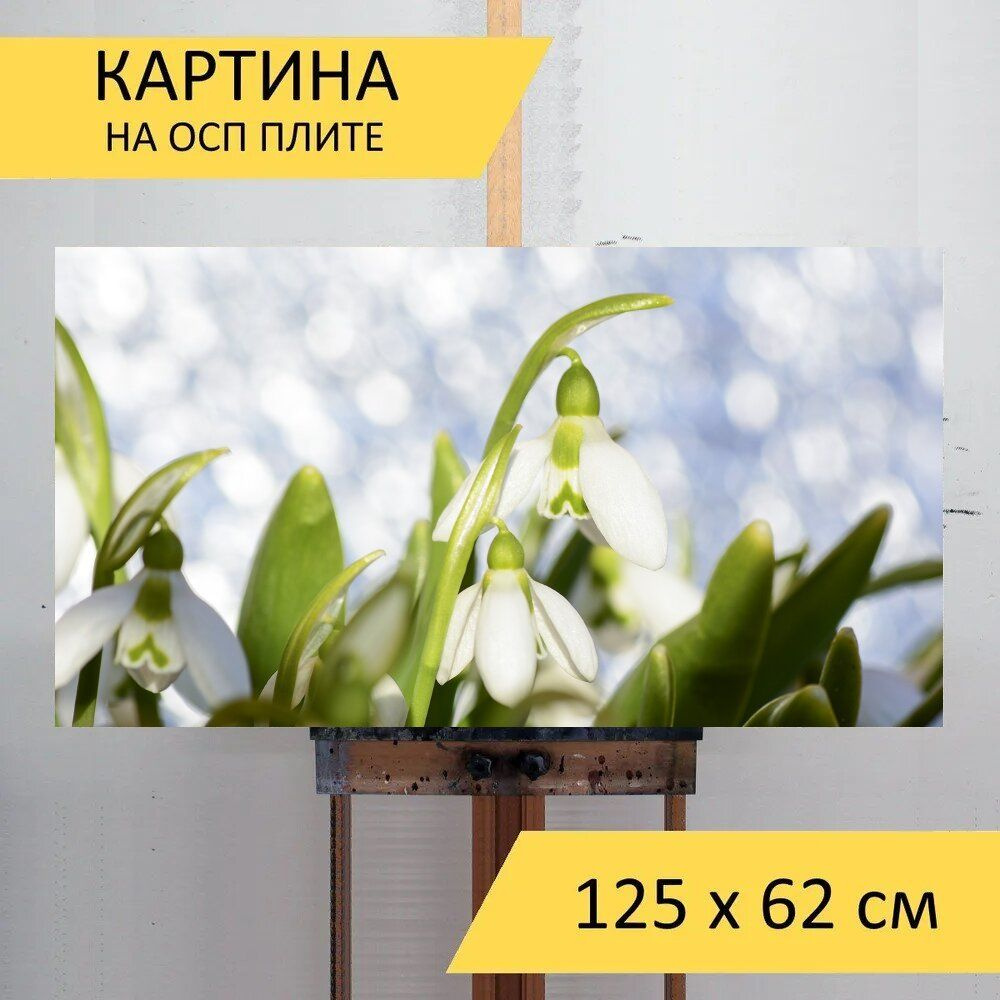 LotsPrints Картина "Подснежники, подснежник, весной 29", 125 х 62 см  #1