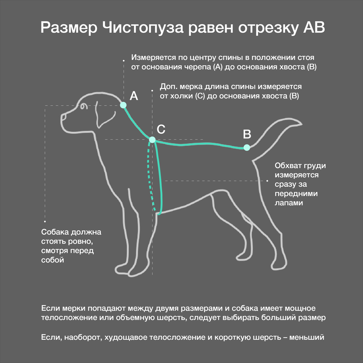 Текст при отключенной в браузере загрузке изображений