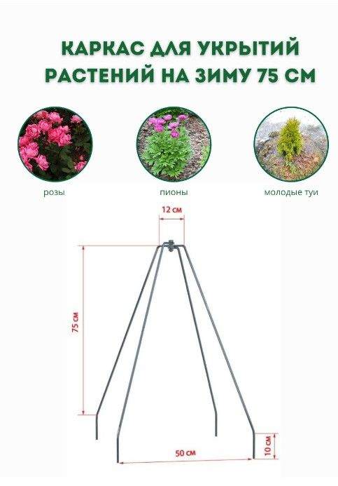 Текст при отключенной в браузере загрузке изображений