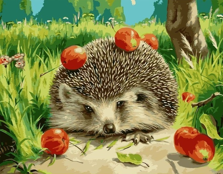 Картина по номерам 40х50 см на подрамнике "Ежик и красные яблочки." DVEKARTINKI  #1