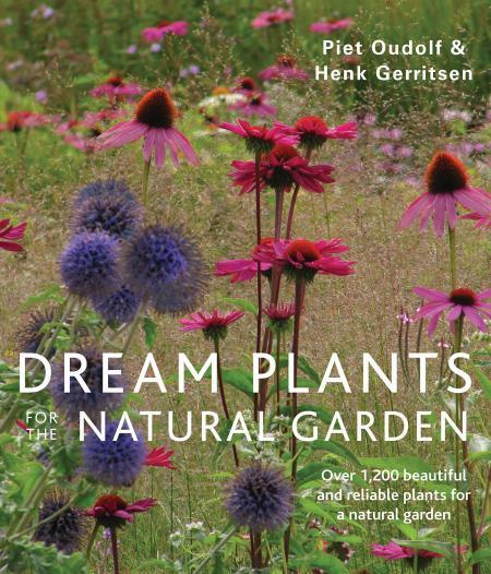 Dream Plants for the Natural Garden #1