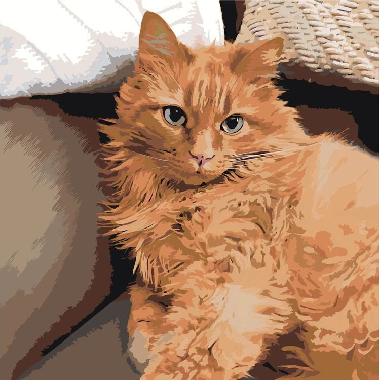 Картина по номерам ЖПН на холсте с подрамником "Кошки: рыжий пушистый кот" Раскраска 40х40 см  #1