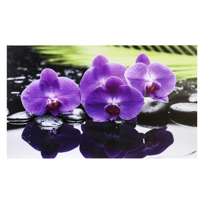 Картина-холст на подрамнике "Орхидеи" 60х100 см #1