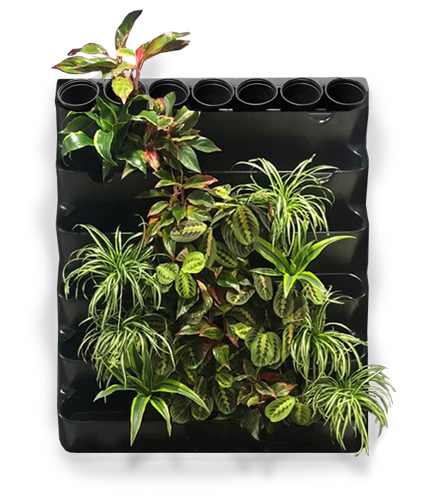 Фитомодуль "BOXSAND 42" (100х127 см) вместимость 42 растения, цвет чёрный для вертикального озеленения #1