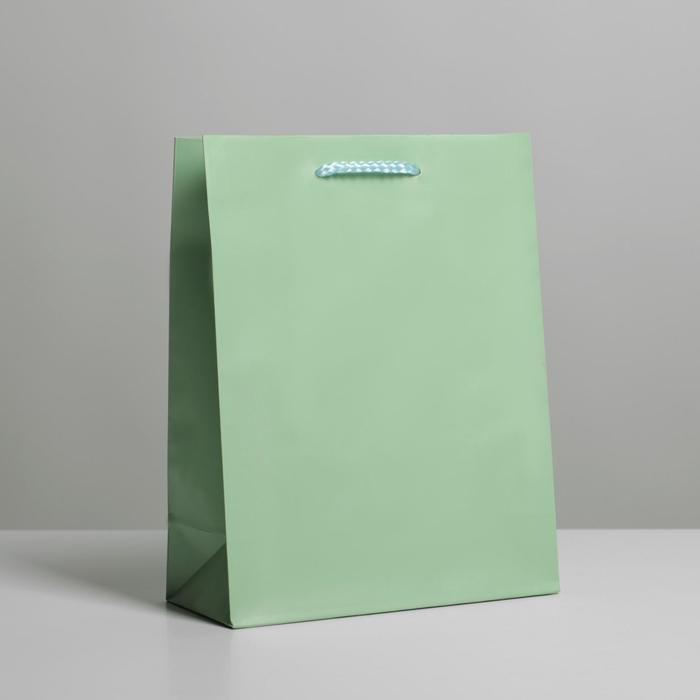 Пакет ламинированный "Зелёный", MS 18 х 23 х 8 см #1