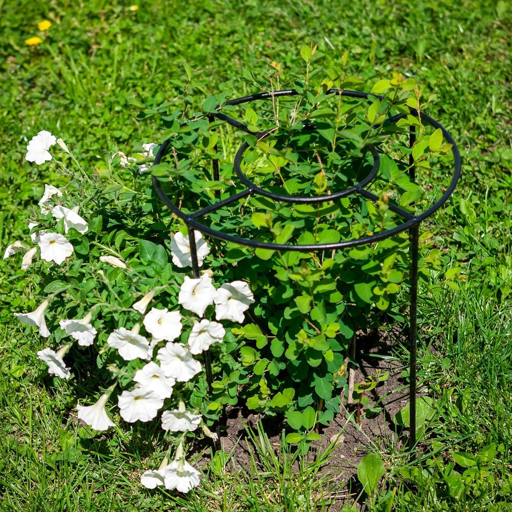 Опора для растений садовых шпалера садовая металлическая кустодержатель металлический для цветов высота #1