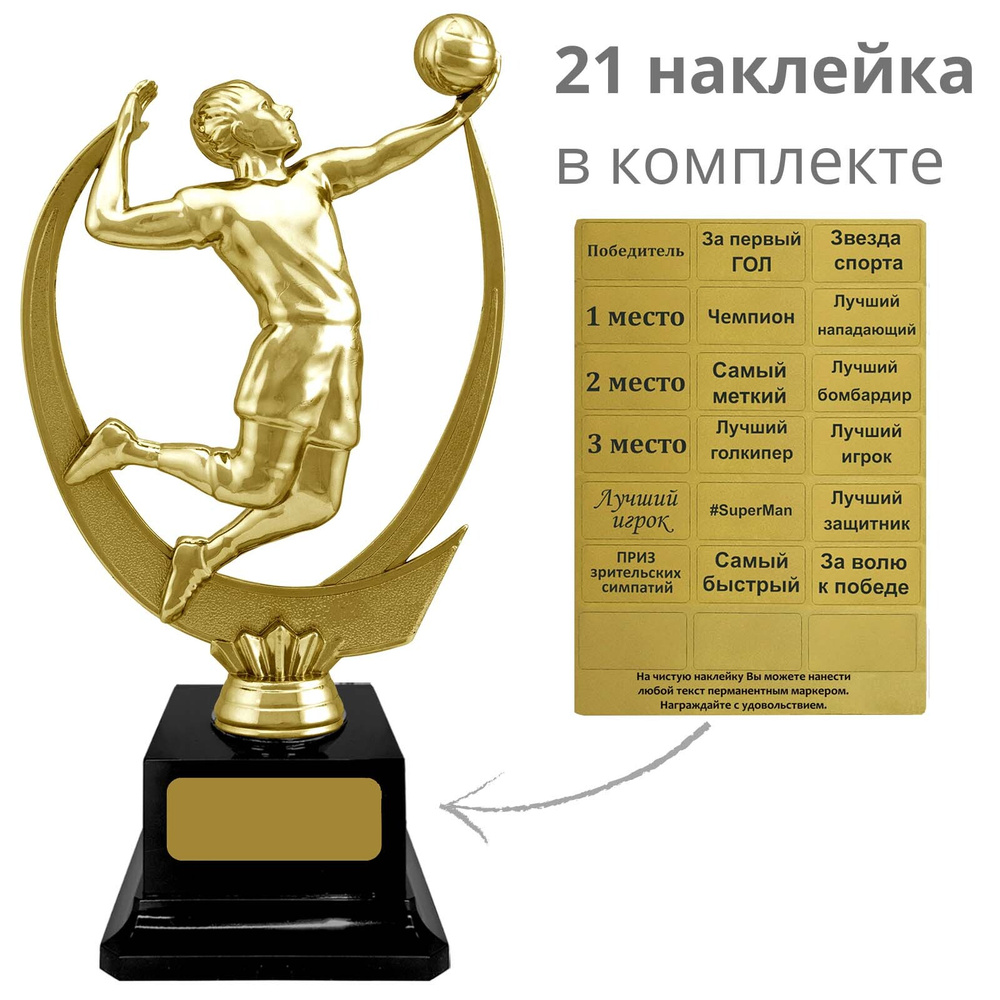 Подарок-награда "Волейбол" (наклейки в комплекте), высота 21 см. Вариант №42  #1