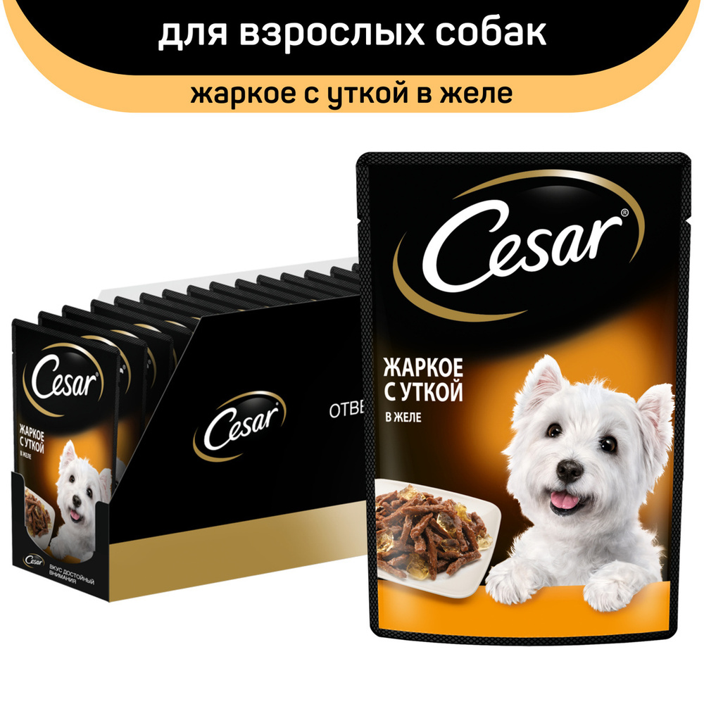 Корм консервированный для взрослых собак CESAR жаркое с уткой, для всех пород, 85г, 20 шт.  #1