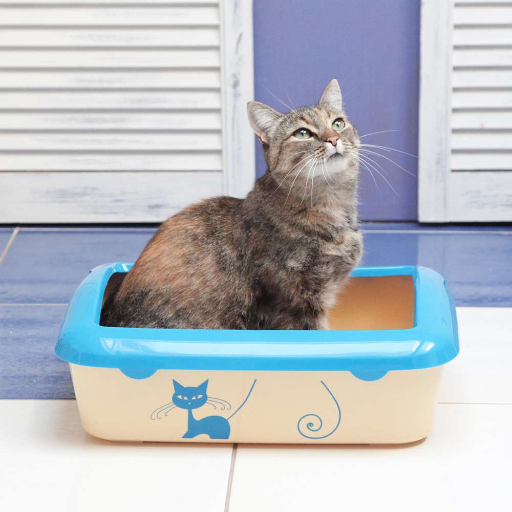 Лоток для кошек большой с бортом Шурум-Бурум туалет для кошек с сеткой пластиковый для котят  #1