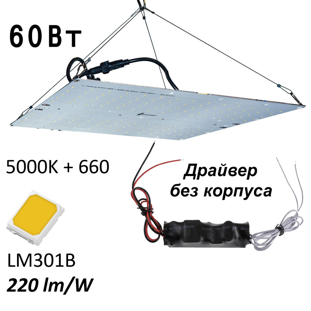 Квантум борд Комплект 1.2 Quantum board Samsung lm301b 5000K + SSL 660nm, 60Вт 18х39см эконом драйвер #1