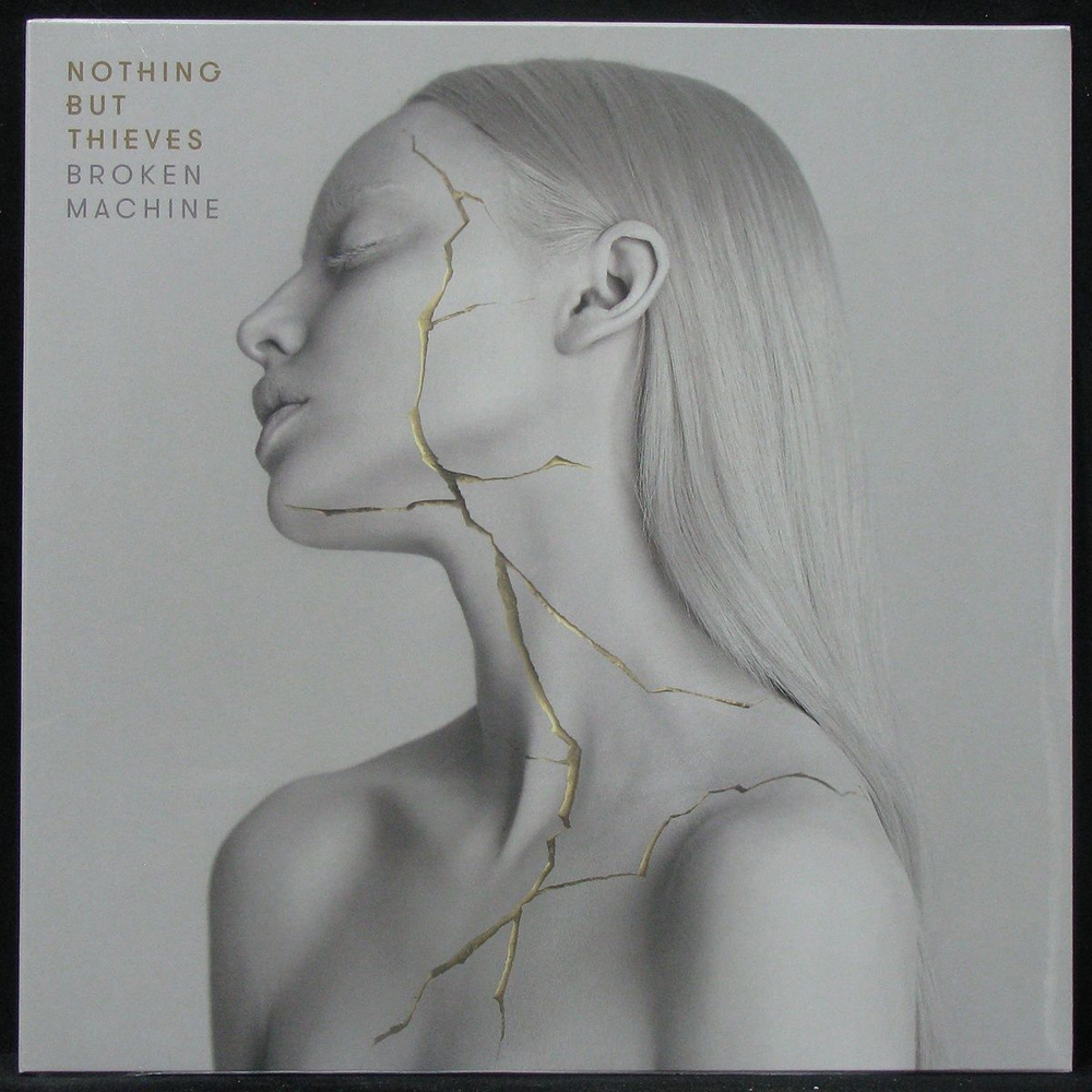 LP Nothing But Thieves - Broken Machine (винил) (301012) - купить с ...