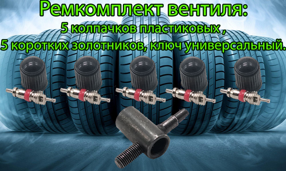 Комплект для замены ниппеля(колпачок для ниппеля, золотник для шин 5+5 и ключ 3 в1) пластик ШПР 002  #1