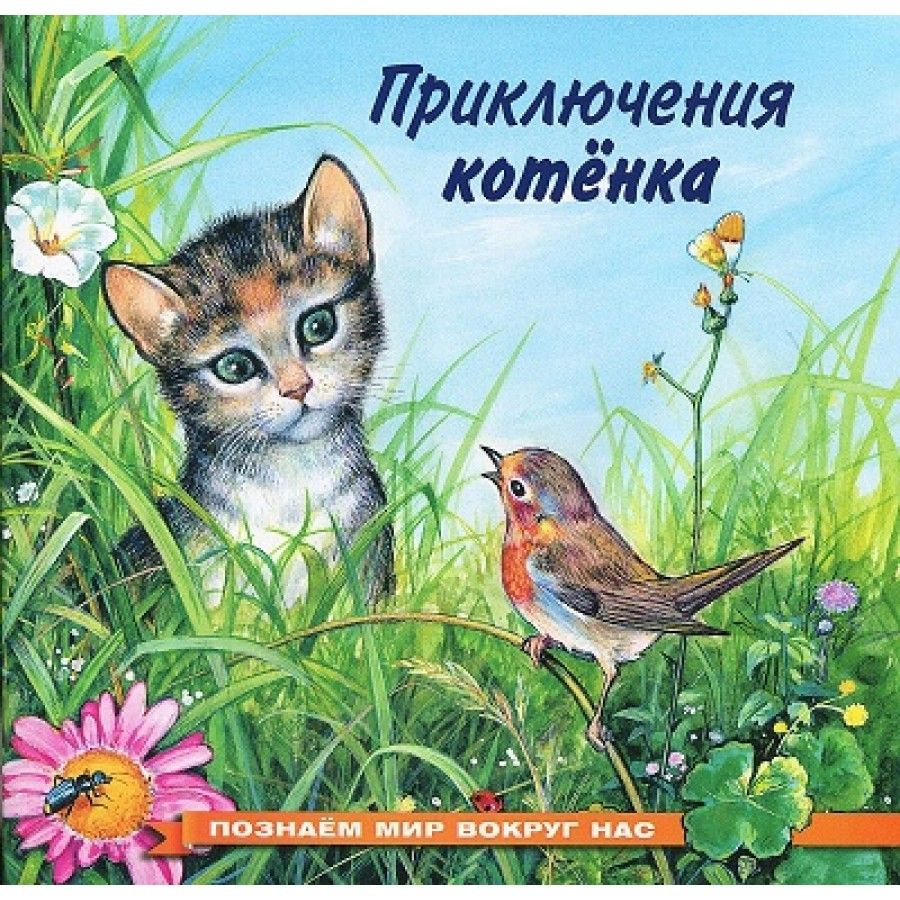 Приключения котенка. Гурина И.В. | Гурина Ирина Валерьевна  #1