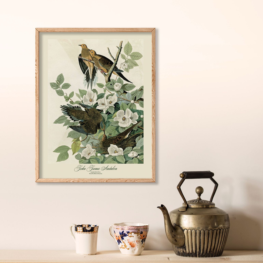 Bloomsson Постер "Ботаническая ретро иллюстрация цветы и птицы Carolina Turtle Dove, Одюбон", 40 см х #1