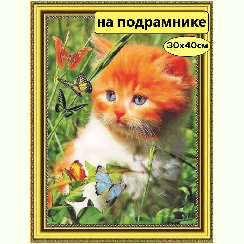 Алмазная мозаика 30*40 на подрамнике / Картина стразами "Котёнок"  #1