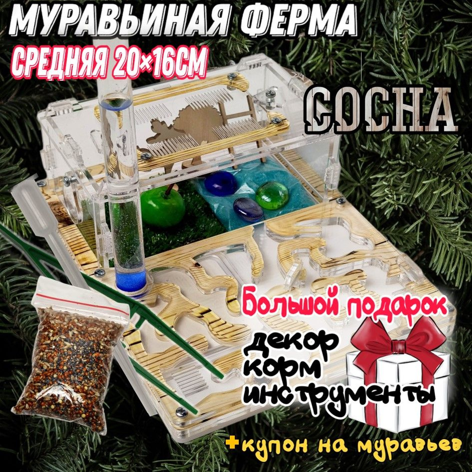 Муравьиная ферма средняя "Сосна" 20х16см Полный комплект #1