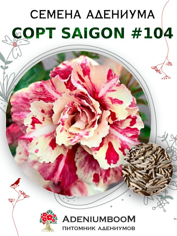 Семена Адениума Обесум от Saigon Adenium #104 (4шт.) / семена цветов комнатных суккулентов, набор семян #1