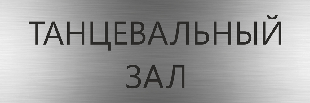 Табличка ТАНЦЕВАЛЬНЫЙ ЗАЛ с гравировкой (300*100 мм) на кабинет дверь стену серебро  #1